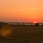 Крикор Аракелян