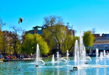 Plovdiv Town търси своя индивидуален дизайнер за лого на медията ни Plovdiv Town