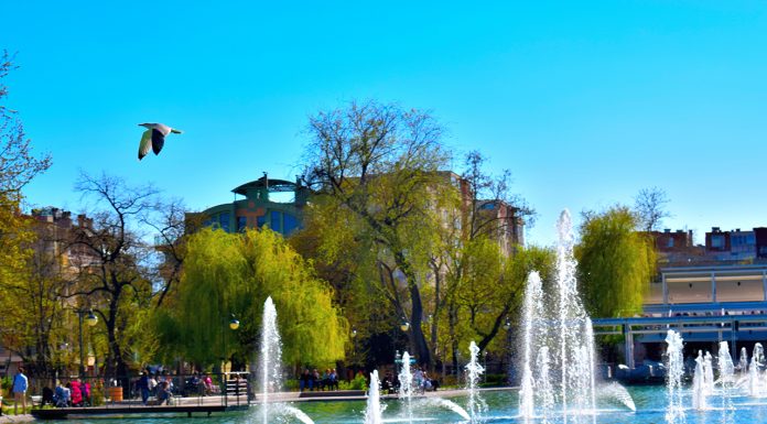 Plovdiv Town търси своя индивидуален дизайнер за лого на медията ни Plovdiv Town