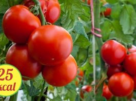 13 храни, които можете да ядете по всяко време в голямо количество Домати