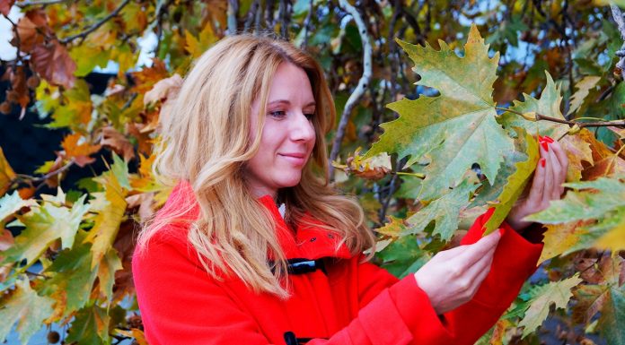 Любовта като изначална позиция в стихосбирката на Ирена Сиракова Ирена Сиракова