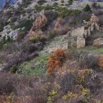 Село Павелско