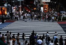 За несподелената любов между пловдивския шофьор и пешеходната пътека Пешеходна пътека