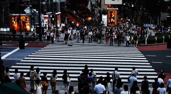 За несподелената любов между пловдивския шофьор и пешеходната пътека Пешеходна пътека