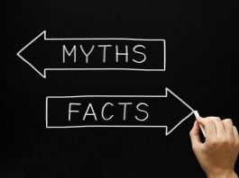 Знаете ли, че…? Fakti