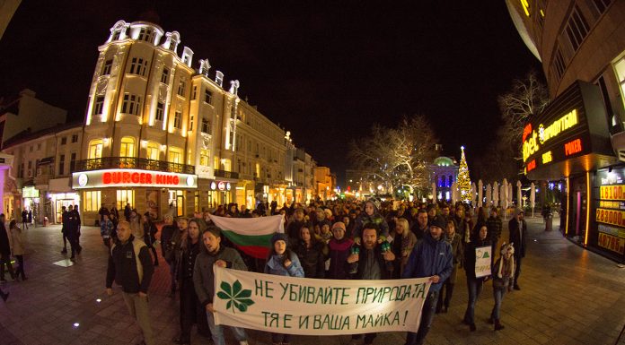 Протестиращите за Пирин в Пловдив: Не убивайте природата, тя е и ваша майка