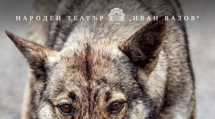 „NeoДачници“ – пиесата, в която всички герои са главни