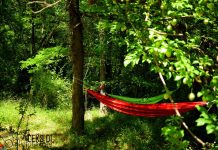 „Събуди се!“ тази година навършва 8 години sybudi se