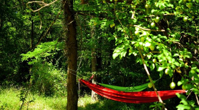 „Събуди се!“ тази година навършва 8 години sybudi se