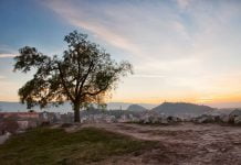 Къде в Пловдив да почистим заедно? den_na_zemqta