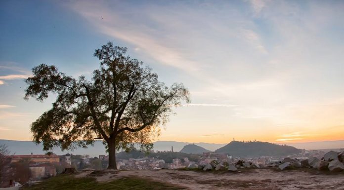 Къде в Пловдив да почистим заедно? den_na_zemqta