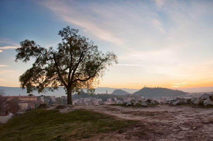 den_na_zemqta den_na_zemqta