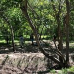 Ботаническа градина