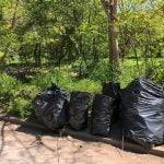 Ботаническа градина