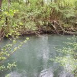 Ekoputeka Iskur-Panega