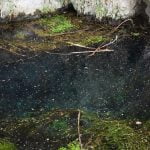 Ekoputeka Iskur-Panega