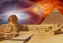 5 неща, които научихте в училище, но вече не са верни 5 неща, които научихте в училище, но вече не са верни