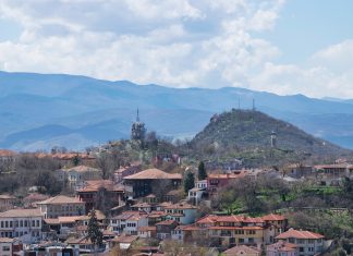 Поляната на Младежкия хълм е посипана с отрова. Пазете кучетата си! Plovdiv