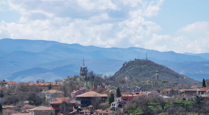 Поляната на Младежкия хълм е посипана с отрова. Пазете кучетата си! Plovdiv