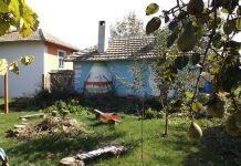 Опознай България: Паламарца Palamarca