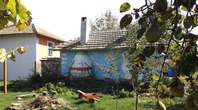 Опознай България: Паламарца Palamarca