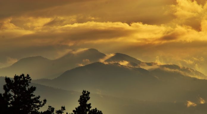 България спечели 44 медала от „Световното по вино“ Bulgariq