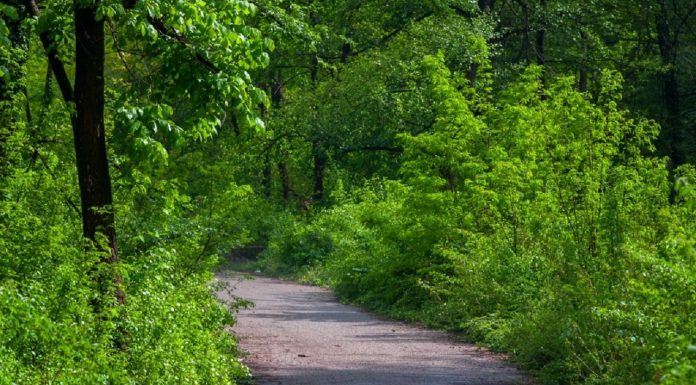 Казусът “Бедечка”- прецедент в България bedechka