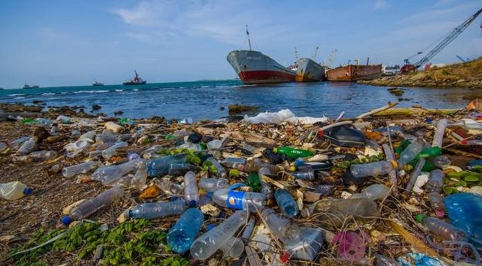 Вредите, които нанасяме на околната среда в цифри