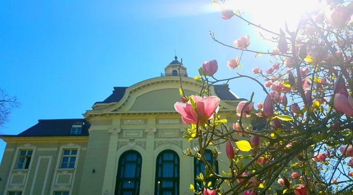 Дневен център за подкрепа на лица с увреждания ще се построи в Пловдив