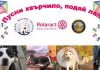 “Пусни хвърчило, подай лапа” в помощ на бездомните животни в Пловдив Podai lapa