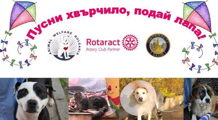 “Пусни хвърчило, подай лапа” в помощ на бездомните животни в Пловдив Podai lapa