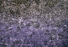 Седем неща, които да правим в дъждовен ден Rain