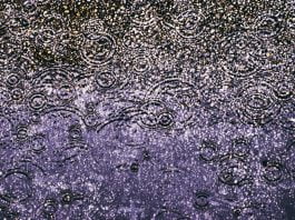 Седем неща, които да правим в дъждовен ден Rain