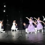 “Roshavata kotka”