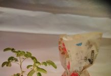 „Българска роза за теб“ – традиции и благотворителност събрани в едно Bulgarska roza za teb