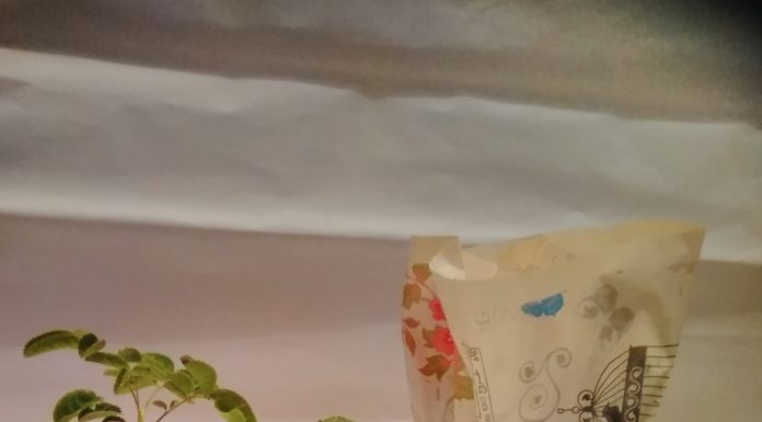 „Българска роза за теб“ – традиции и благотворителност събрани в едно Bulgarska roza za teb