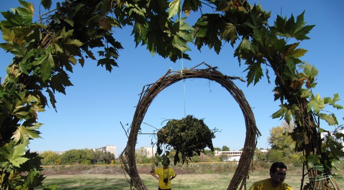 Ученици и студенти творят по брега на река Марица