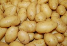 Разкритие за вредите от картофите, които не предполагате Картофи картофите