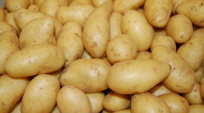 Разкритие за вредите от картофите, които не предполагате Картофи картофите
