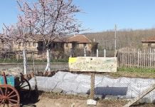 Кулинирна обиколка в Източните Родопи- част втора rodopi