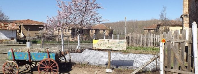 rodopi