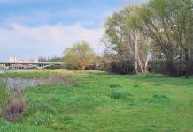 Места за отдих и пикник край Пловдив Места за отдих и пикник край Пловдив