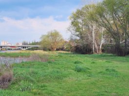 Места за отдих и пикник край Пловдив Места за отдих и пикник край Пловдив