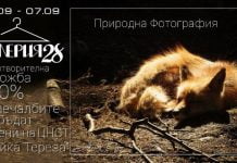 Благотворителна фотоизложба подкрепя децата от Центъра за настаняване от семеен тип „Майка Тереза” blagotworitelna fotoizlojba