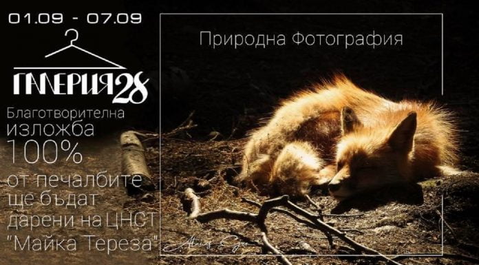 Благотворителна фотоизложба подкрепя децата от Центъра за настаняване от семеен тип „Майка Тереза” blagotworitelna fotoizlojba