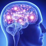 Мозъкът и как да го стимулираме