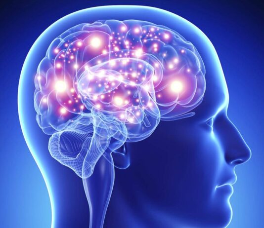 Мозъкът и как да го стимулираме Мозъкът и как да го стимулираме