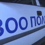 СДВР разяснява процедурата на Зоополицията след сигнал на Plovdiv Town Zoopoliciq