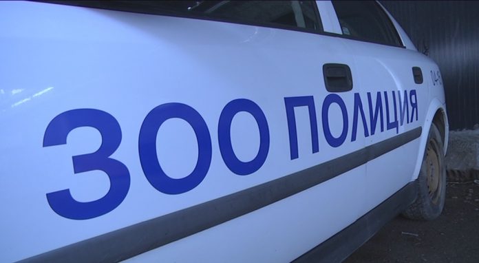 Zoopoliciq Zoopoliciq