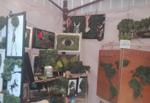 3 D Garden създава иновативен вид изкуство, използвайки естествен мъх 3 d garden